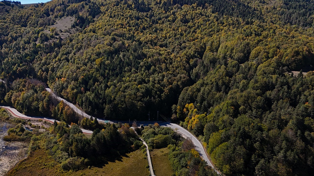 bolu-da-ormanlara-giris-30-eylul-e-kadar-yasaklandi