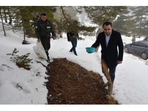 Yaban Hayatı İçin Seferber Oldular