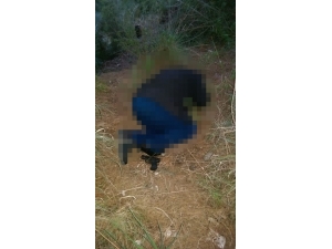 Büyükbaş Hayvanları Hastalanan Muhtar İntihar Etti