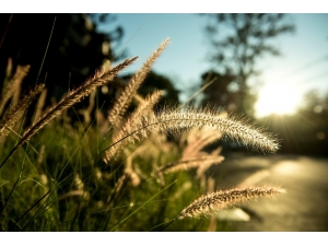 İklim Bilimi Uzmanı Ustaoğlu, Cemre Düşmesi Hakkında Bilgi Verdi