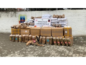 Kargo Nakliye Kamyonunda 3 Ton Kaçak Tütün Ele Geçirildi