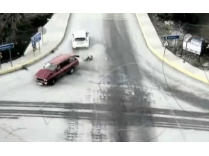 İki Otomobil Çarpıştı, Bagajdaki Köpekler Yola Savruldu