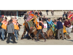 Pehlivan Develer Ortaklar Arenası’nda Buluştu