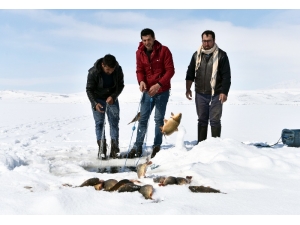 Donan Nazik Gölü’nde Eskimo Usulü Balık Avı