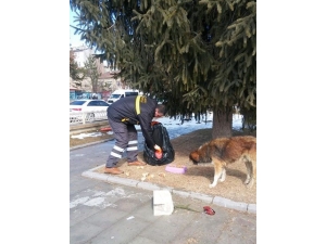 Bayburt ‘Ta Sokak Hayvanları Unutulmuyor