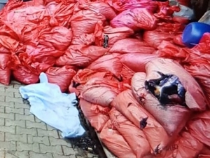 Sinop’taki Yangın Faciasında Flaş Gelişme