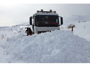 Gümüşhane’de Kapanan Köy Yolları Bu Kez Hayvanlar İçin Açıldı