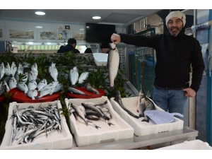 Tezgahları Havuz Balıkları Süslüyor