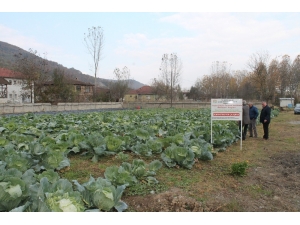 Düzce Üniversitesi’nde Tarım Paneli Düzenlenecek