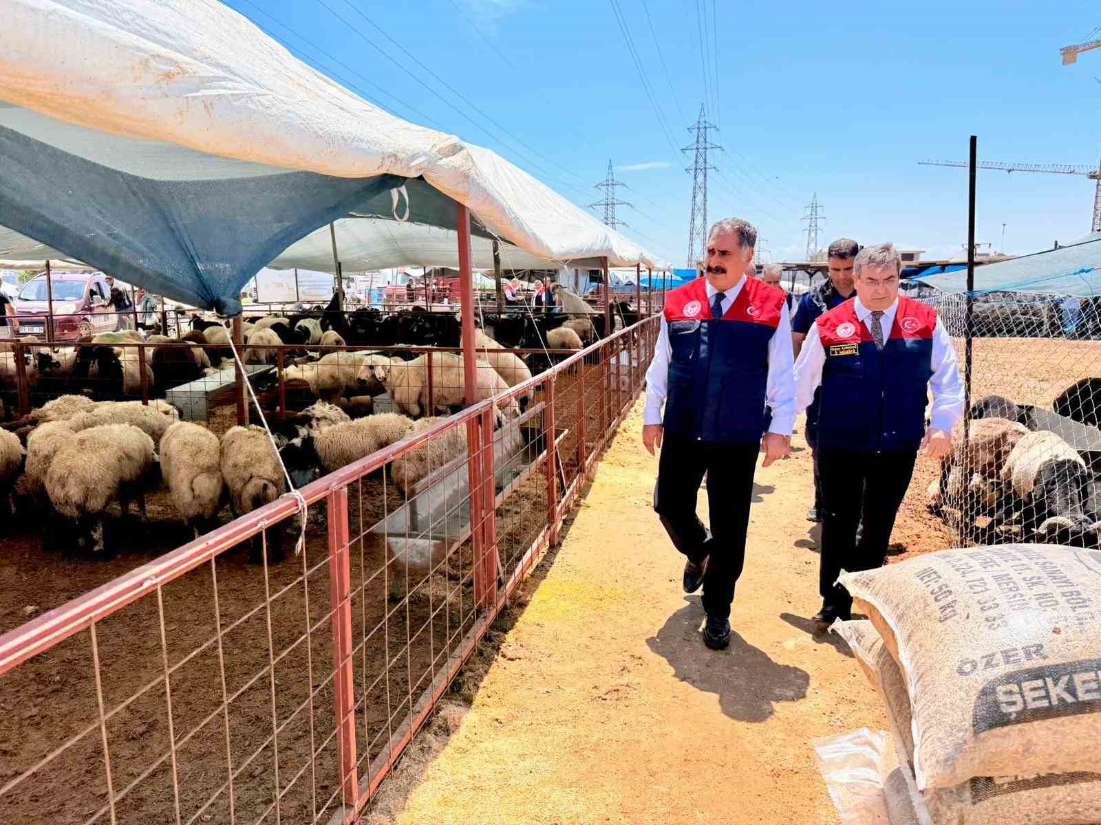 mersin-de-kurban-bayrami-oncesi-satis-noktalarinda-siki-denetim