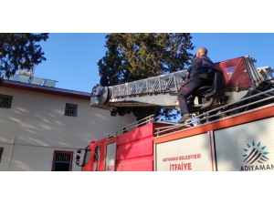 Ağaçta Mahsur Kalan Kediyi İtfaiye Ekipleri Kurtardı