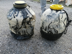 Yasadışı Sülük Avına 73 Bin Lira Para Cezası