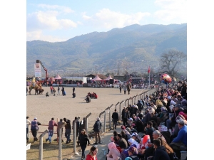 Bozdoğan’da Develer Güreşti