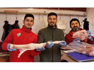 Canan Karatay Gündeme Taşıdı, Vatandaş Sakatatçılara Akın Etti