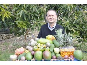Tropikal Meyveler Yok Satıyor