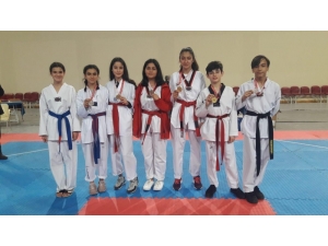 Okullar Arası Yıldızlar Taekwondo İl Birinciliği Müsabakaları Tamamlandı