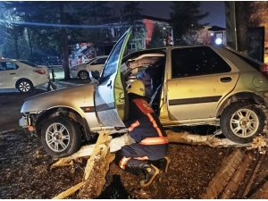 Kontrolden Çıkan Araç Ağaca Çarparak Durabildi