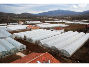 Seracılık Köyden Şehre Göçü Durdurdu