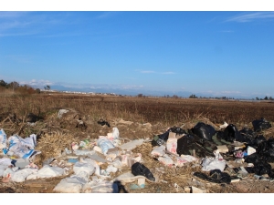 Bir Zamanlar Kuş Cenneti Olan Yamansaz Atık Ve Kirlilik Tehdidi Altında