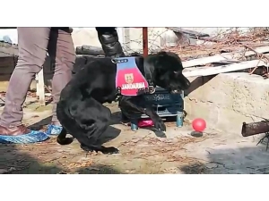 Uyuşturucu Operasyonunda Yakalanan Şüpheli Tutuklandı