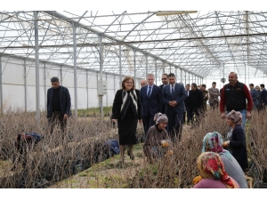 Büyükşehir, Gaziantep’in Yöresel Tatlarını Koruyacak