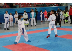 Okullar Arası Karate İl Birinciliği Müsabakaları Tamamlandı