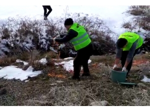 Bingöl’de Yaban Hayvanları İçin Doğaya Yem Bırakıldı