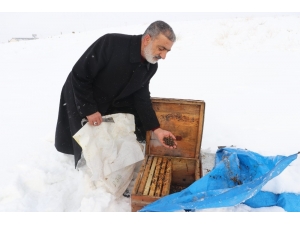 Ağrı’da Arıcıların Zorlu Kış Mesaisi