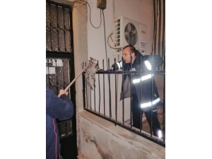 Manisa İtfaiyesinden Hayvan Dostlarına Yaşam Eli