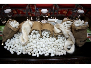 Mardinli Kadınlar İpek Üretecek