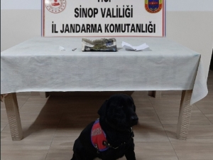 Narkotik Köpeği Perma Uyuşturucuyu Yakaladı