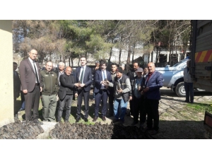 Sumak Fidanı Dağıtıldı