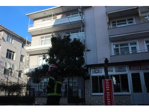 4 Katlı Binada Çıkan Yangın Paniğe Neden Oldu