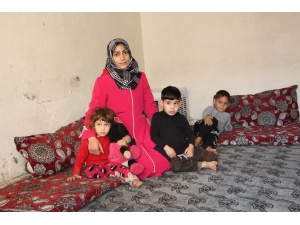 Suriyeli Ailenin Yaşam Mücadelesi