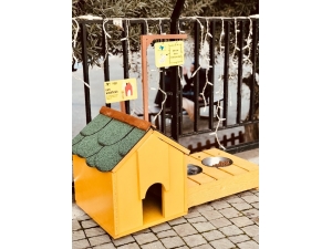 Forum Mersin’de Atık Malzemelerden Pati Konutları