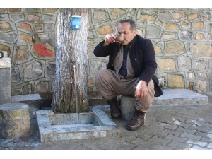 Donan Musluk Borusuna İlginç Çözüm, Ağaç Gövdesini Oydu