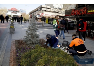 Sakarya’da 13 Bin Çiçek Açtı