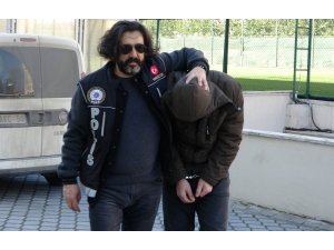 483 Gram Bonzai İle Yakalandı