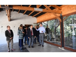 Başkan Esen, İhalesi Kazanılan Mesire Alanını İnceledi