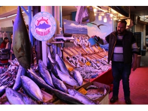 Eskişehir Halkı Ton Balığını Sevdi