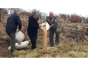 Elazığ’da Yaban Hayvanları İçin Doğaya Yem Bırakıldı