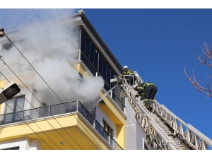 Alevlere Teslim Olan Dairedeki Kuşu İtfaiye Kurtardı