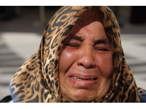 Hdp Önündeki Eyleme 3 Aile Daha Katıldı