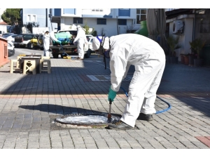 Edremit Belediyesi Sinekle Mücadeleye Başladı