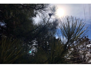 Sıcak Havalar Yerini Hafta Sonu Yağmur Kar Yağışına Bırakacak