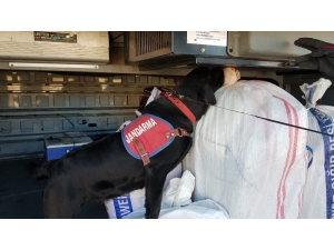 Jandarma Trafik Ekipleri Drone İle Uygulama Yaptı