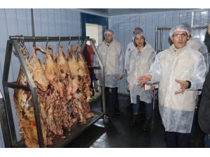 Ağrı’da Gıda Denetim Seferberliği Tamamlandı