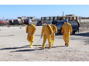 Telabyad’da İlaçlama Çalışmaları Yapılıyor