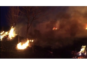 İznik’te Sazlık Alanda Çıkan Yangın Kontrol Altına Alındı