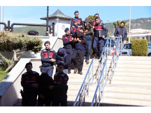 Kobra Zehri Kaçakçılığına 4 Tutuklama